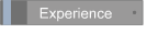 Experience